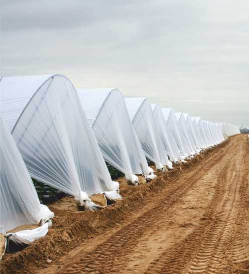 UV TREATED NON-WOVEN FABRIC